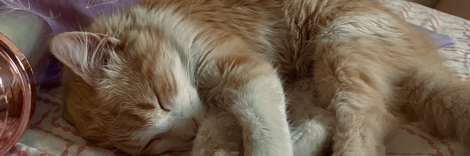 LuliMolina5's profile banner image