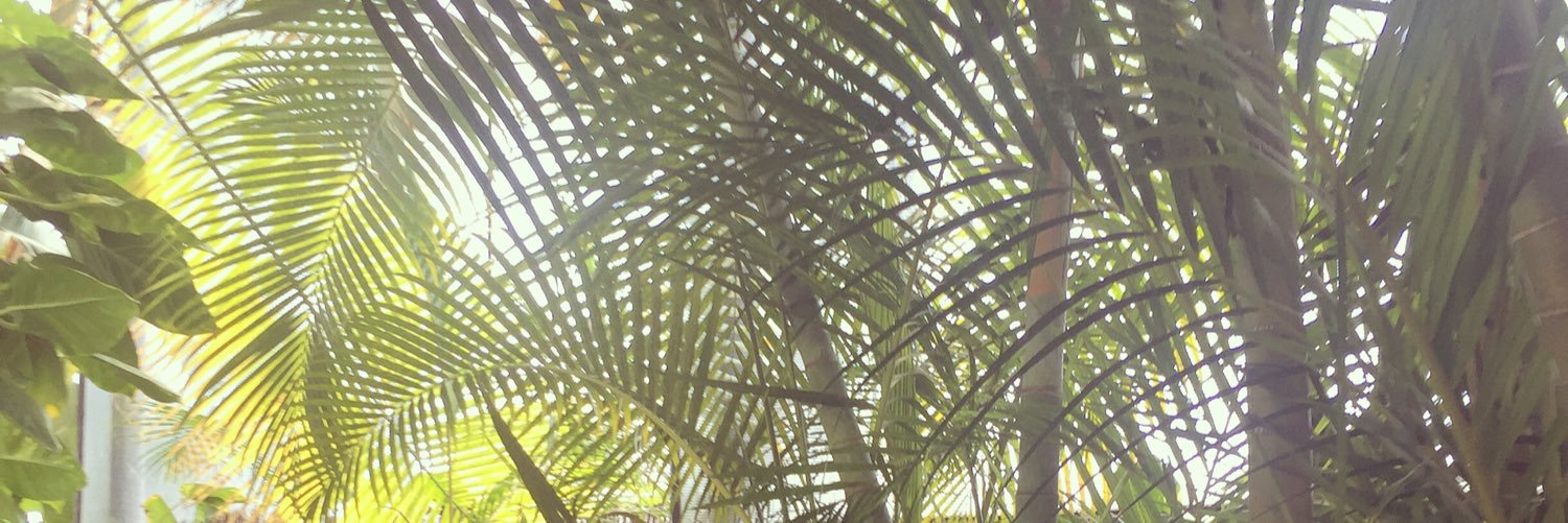 spinky2360's profile banner image