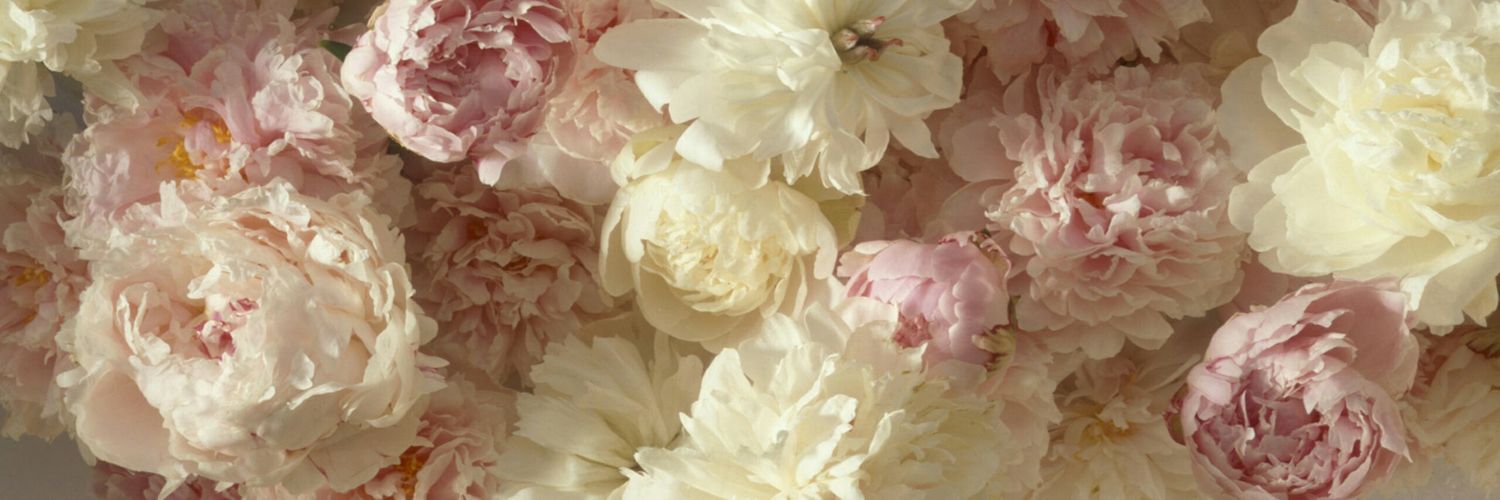 TanyaMLevin's profile banner image
