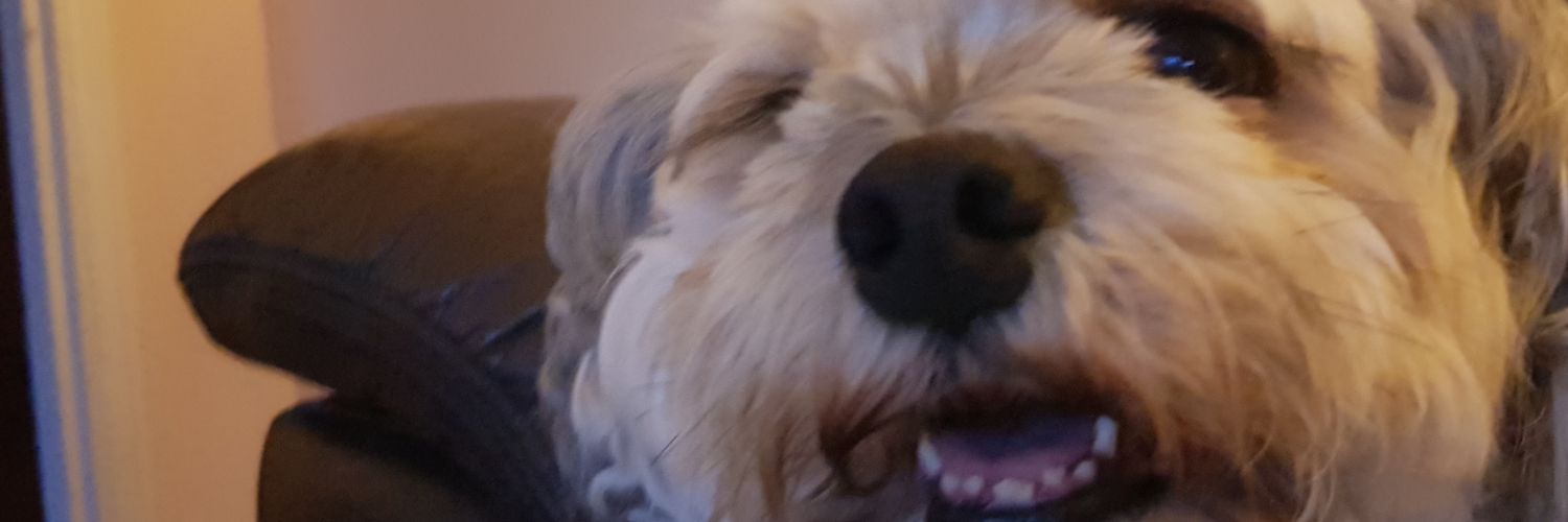 Lord__Misha's profile banner image