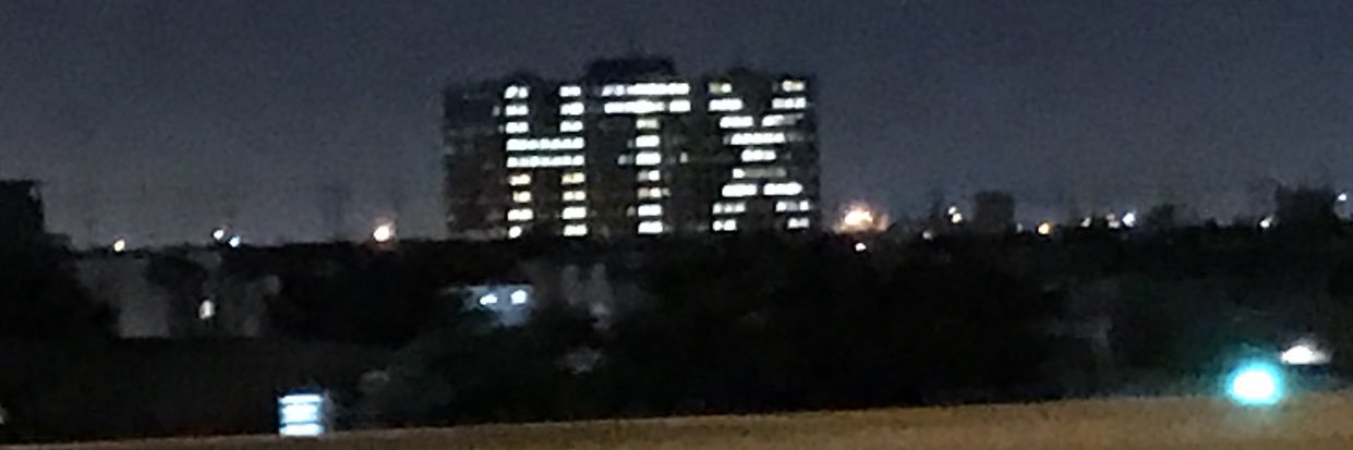 Texian banner