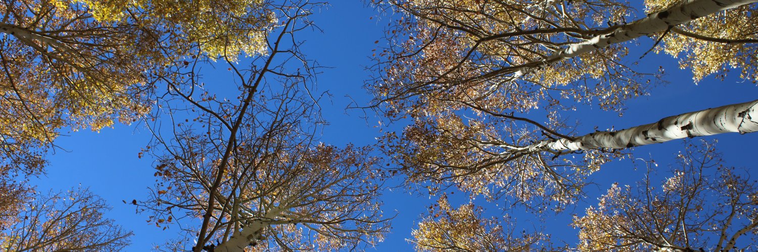 9 / POCKETTHATROCKET banner