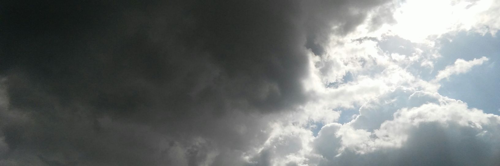 Tox.222 banner