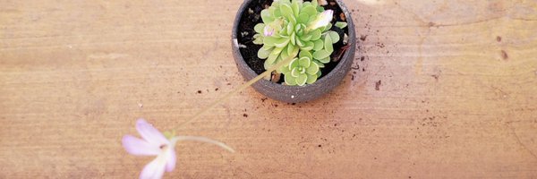 inkafdr Profile Banner