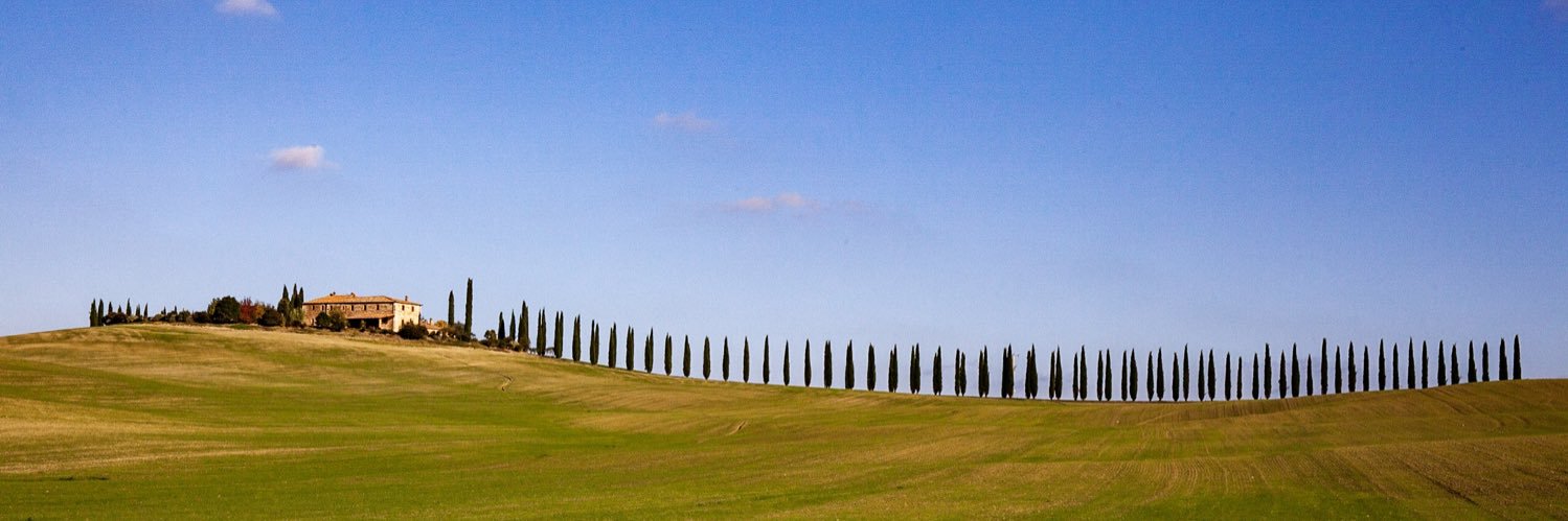 ewmullin's profile banner image