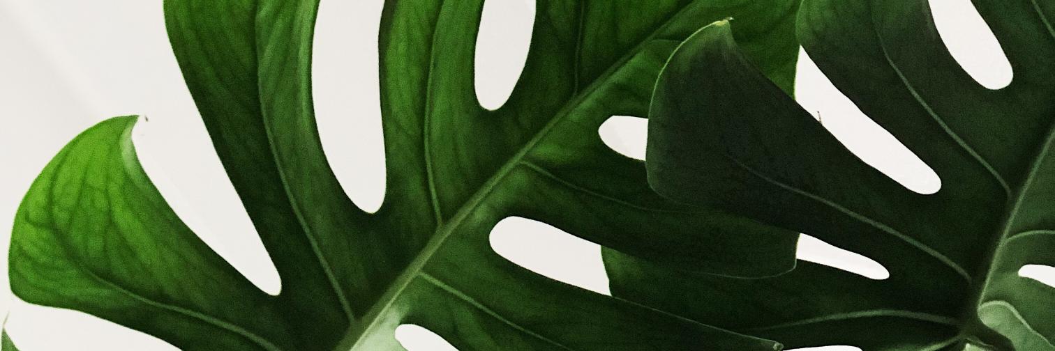 bethdaniher's profile banner image