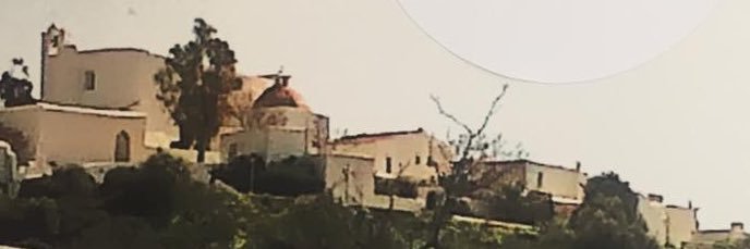 Antonia Picó banner