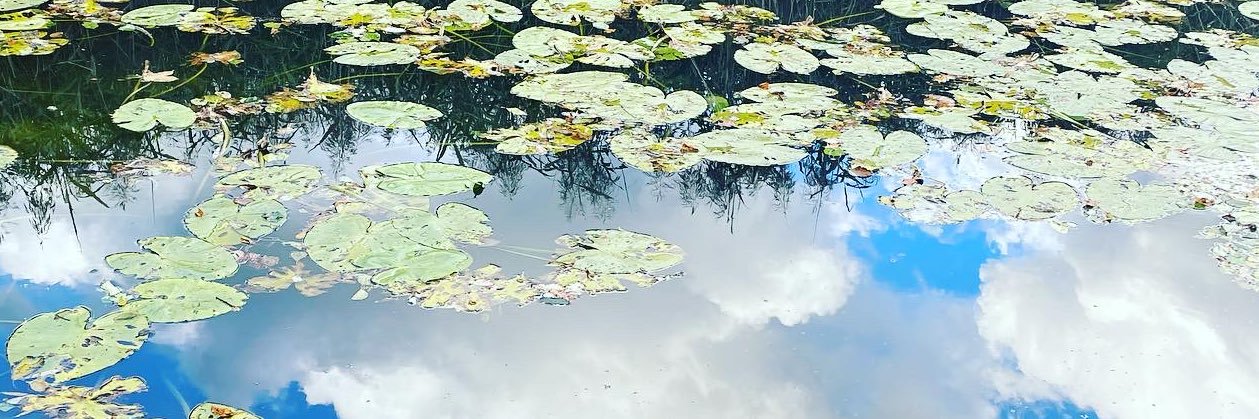 gulsmkc's profile banner image