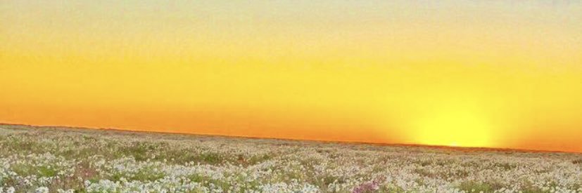 amh9111's profile banner image