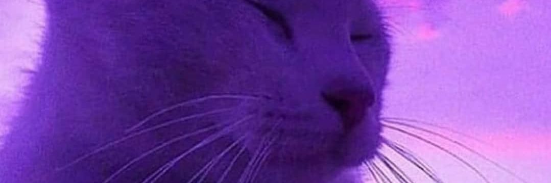 Mithrilkatana's profile banner image