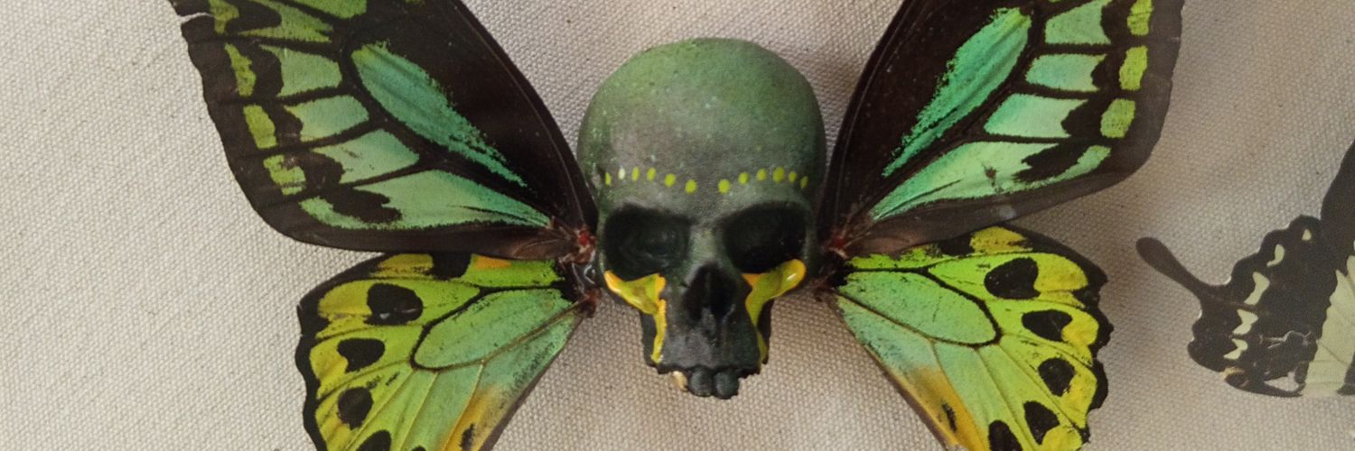 PoussinTaquin's profile banner image