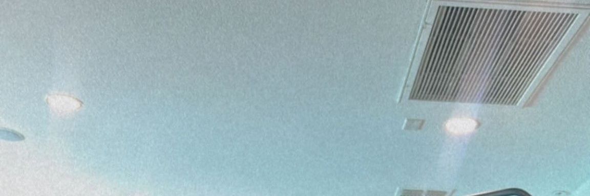Bunni bhadd banner