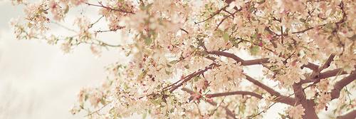 MariaSalinas97's profile banner image