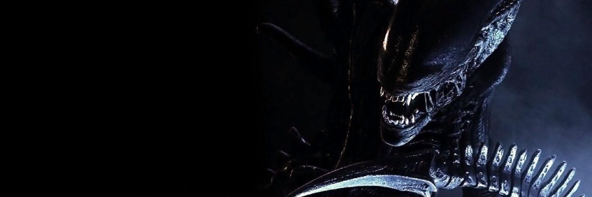 TimoteiScrolls's profile banner image