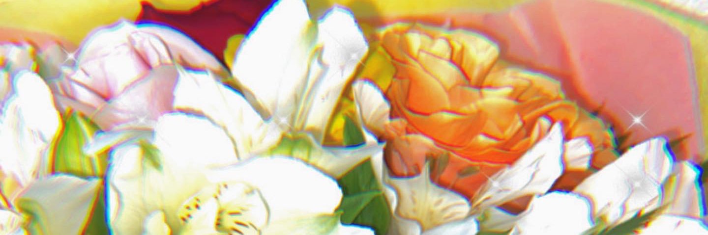 0907dkg's profile banner image