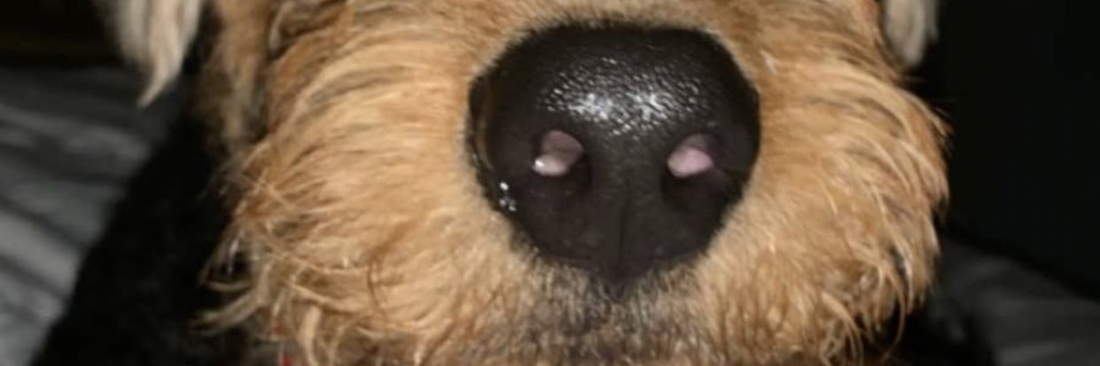 keriganAP's profile banner image