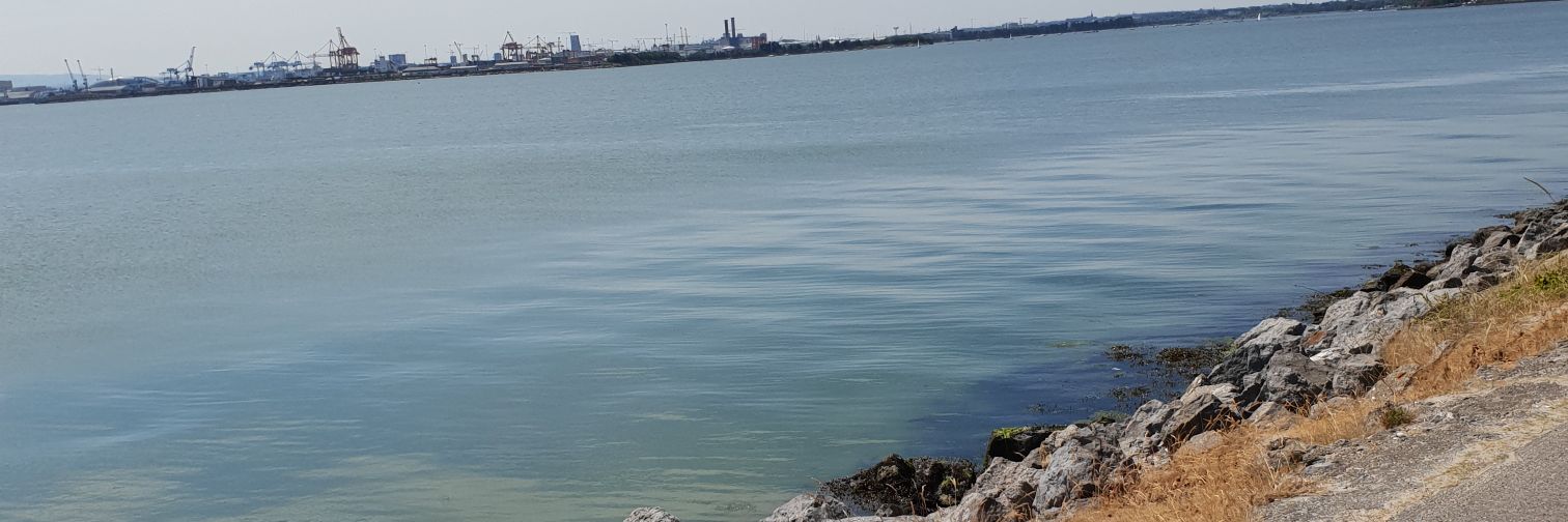 EvaFlood_ox's profile banner image