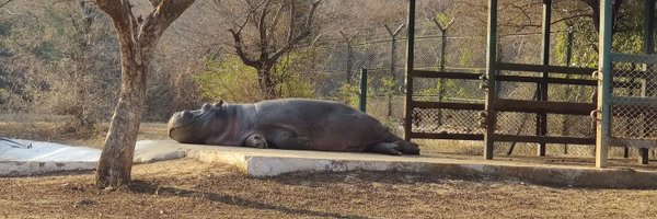 Manpunstar Profile Banner