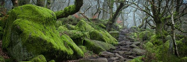 TuffLea Profile Banner