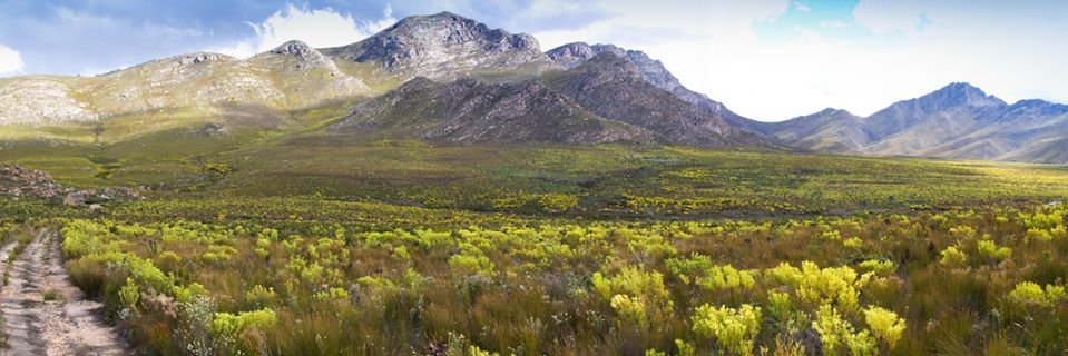 Biological Sci UCT banner