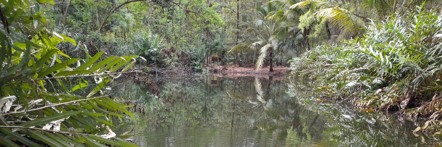 Bertet the 1st banner