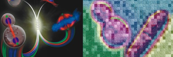 DeRobertus Profile Banner