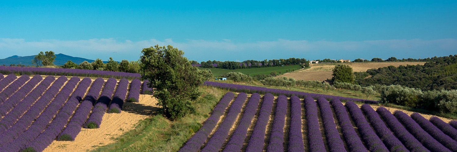 GitesdeFrance04's profile banner image