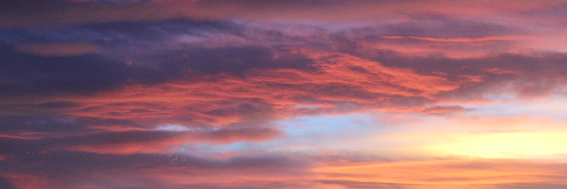 Elizabeth Perry banner