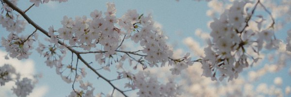 _Relinquere Profile Banner