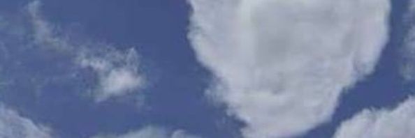 Wasike R banner