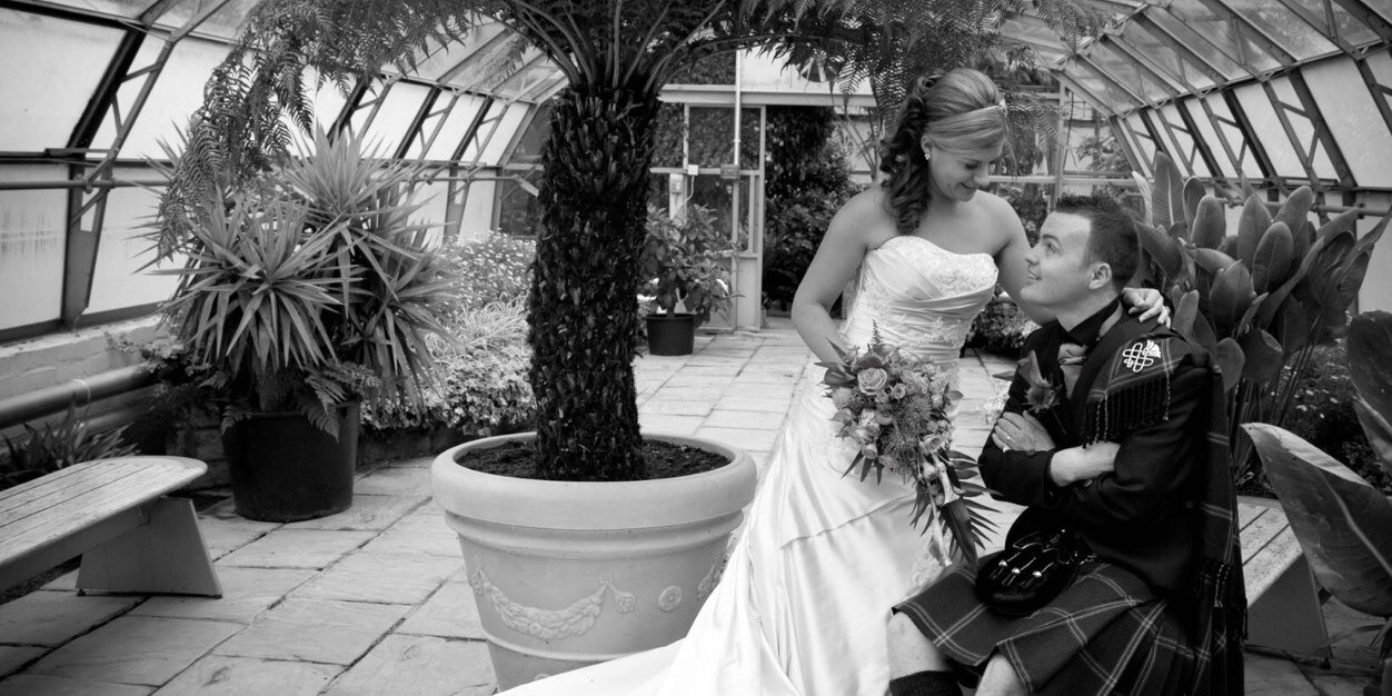 Steph McDermott banner