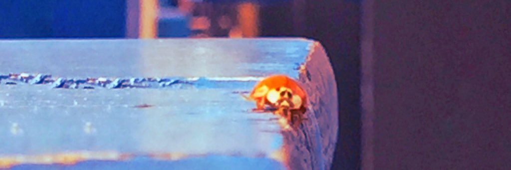 rundfunkplatz's profile banner image