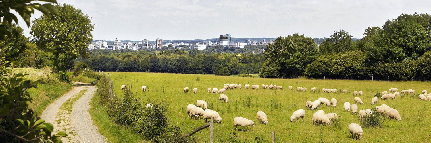 Zuid-Limburg banner