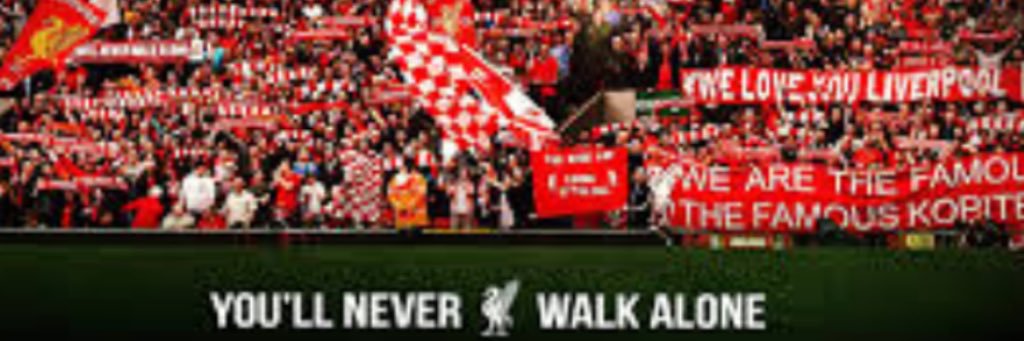 flxperras's profile banner image