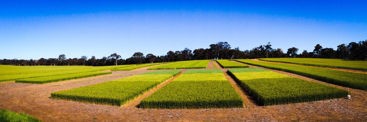 Living_Farm's profile banner image