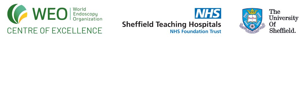 Sheffield Gastro banner