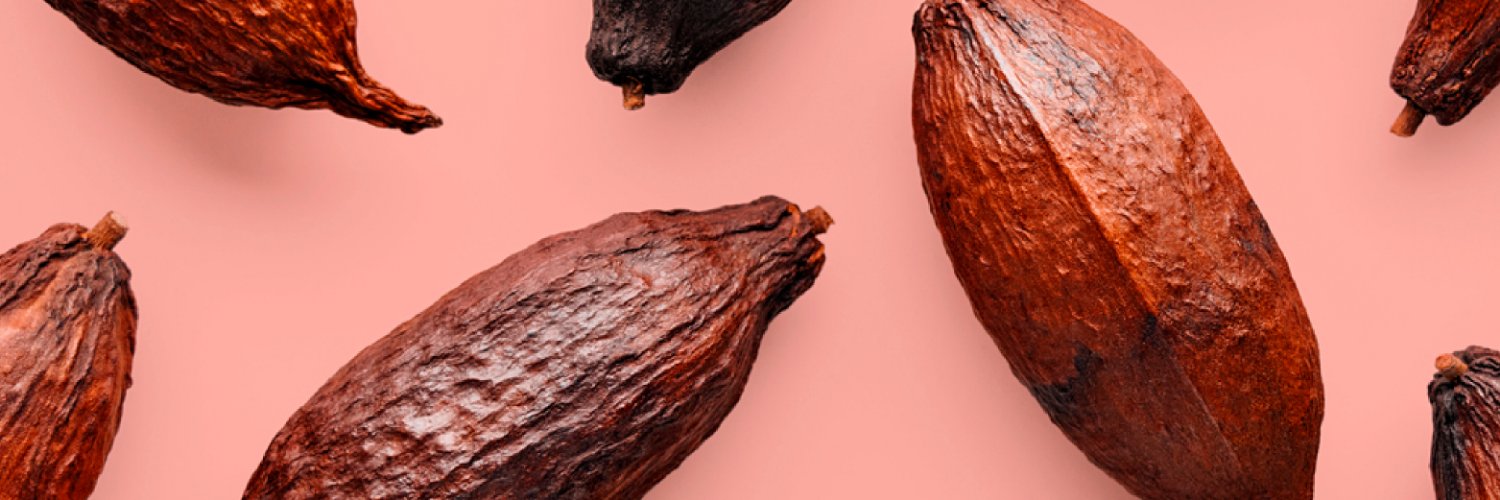 ChocolatesEurek's profile banner image