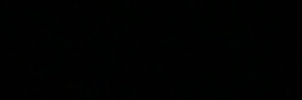 quinn_wills Profile Banner