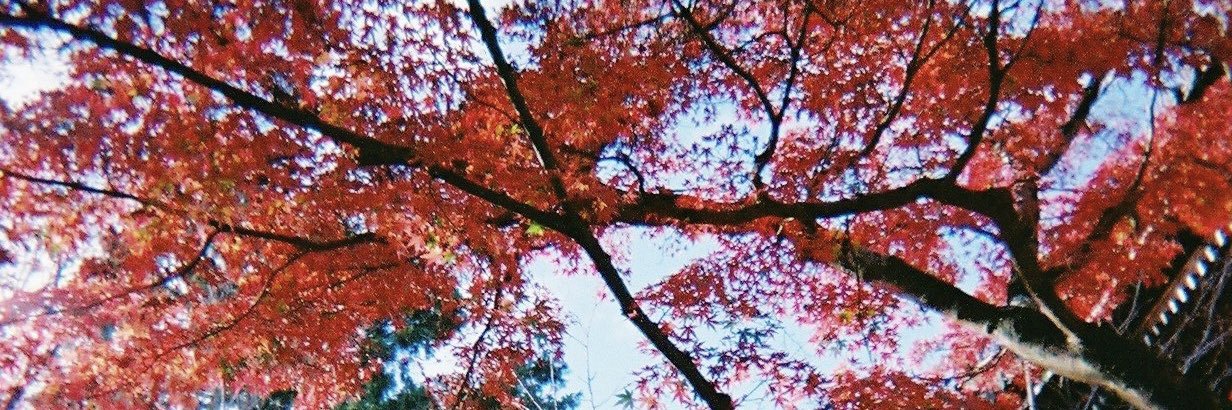 Ay_Disconnected's profile banner image