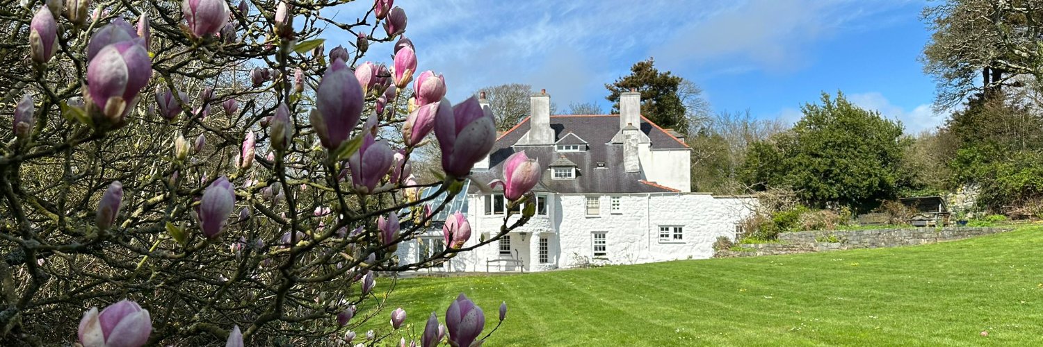 Ty_Newydd's profile banner image