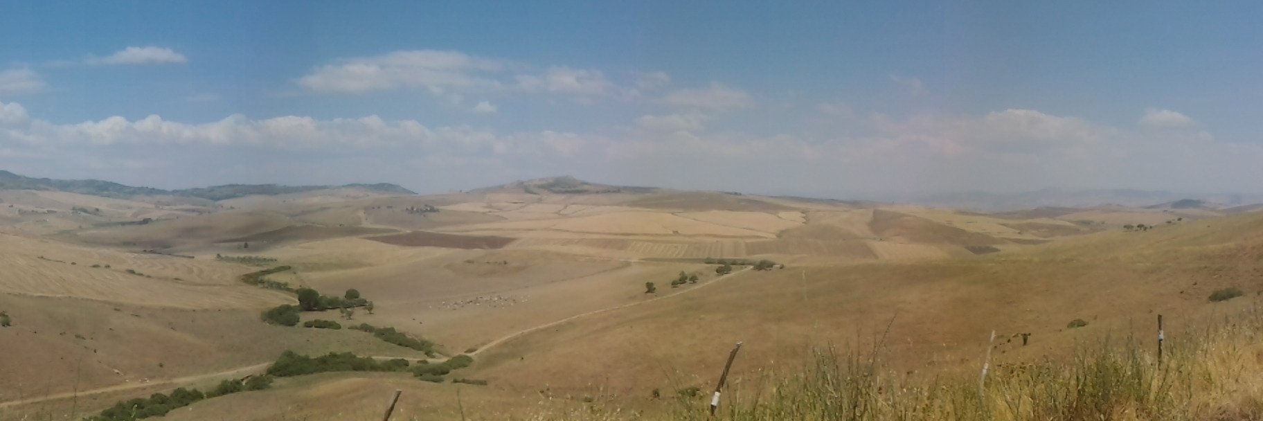 Carlo Citter banner