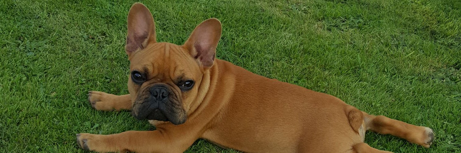 JamesWatkins79's profile banner image