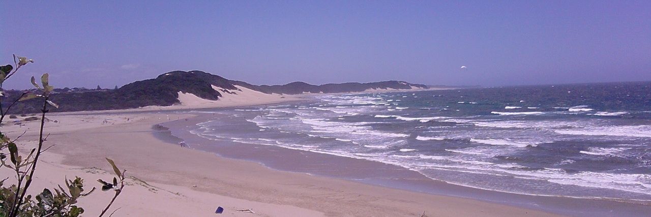 Brandon Diplock banner