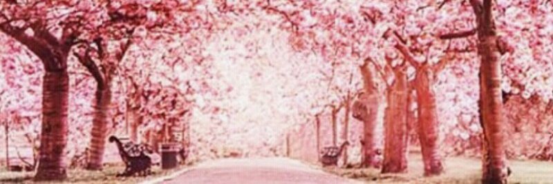 gr3isylara's profile banner image