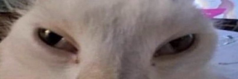Mason Wayne banner