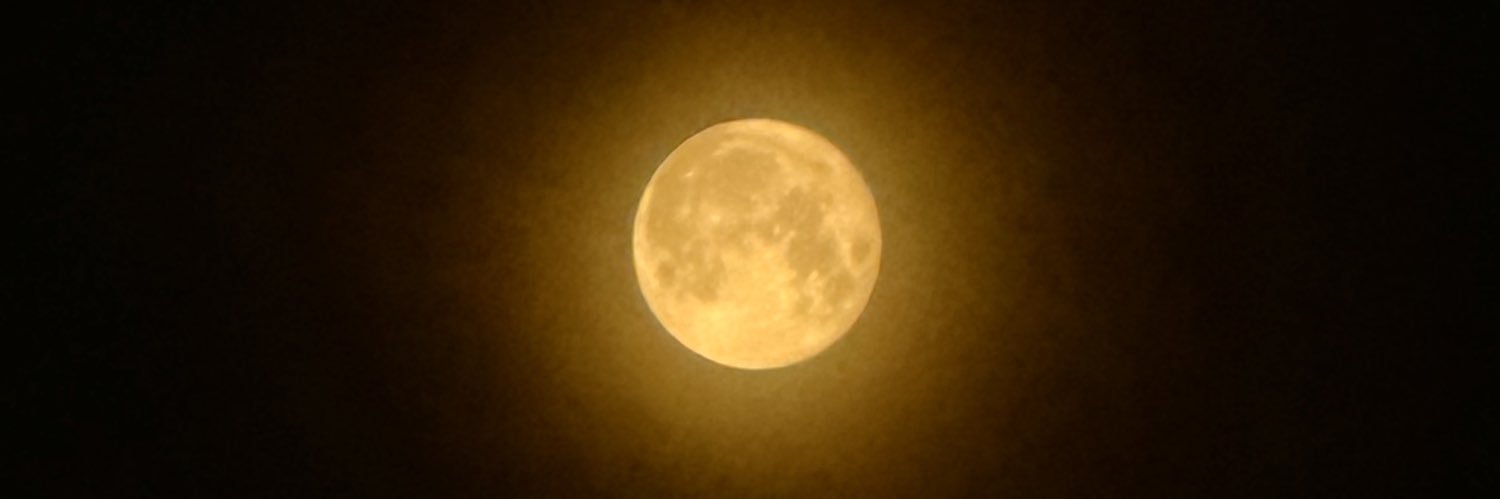 윱쪙콘 종일👉🚪𝓜𝓲𝓷𝓲🧸 banner