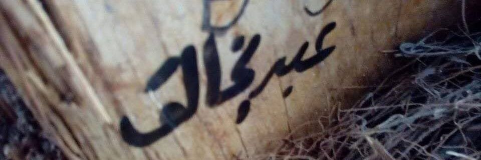 عبدالخالق العبادي🦅 banner