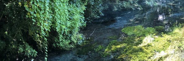 yamatomaru Profile Banner