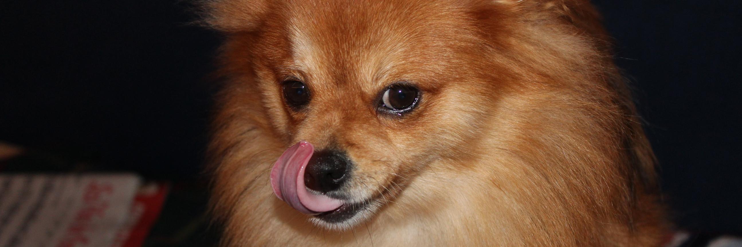 Esther_ERS_'s profile banner image