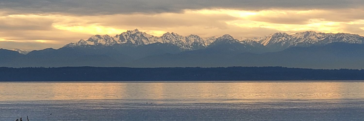 cervisme's profile banner image